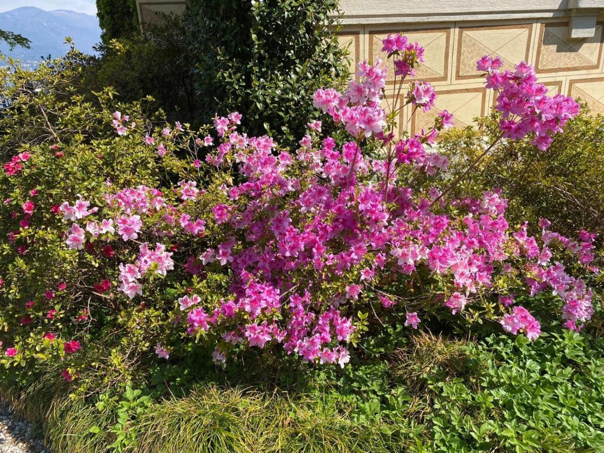 Villino Tarlarini Βίλα Laveno-Mombello Εξωτερικό φωτογραφία